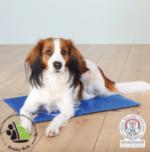 Trixie hűsítő párna 50x40cm