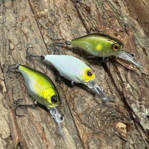 Jackall Chubby 38F MR