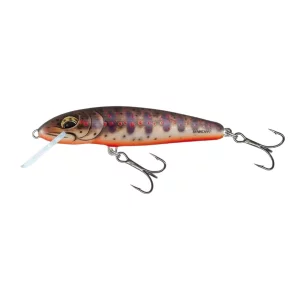 2 Salmo Minnow 6 Floating Fresh Water Minnow FWM